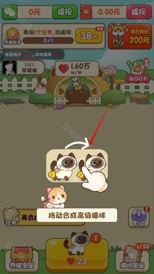 我家猫舍