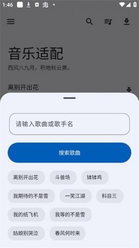 适配音乐