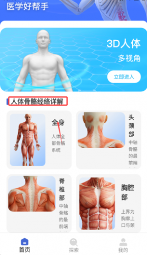 解剖学