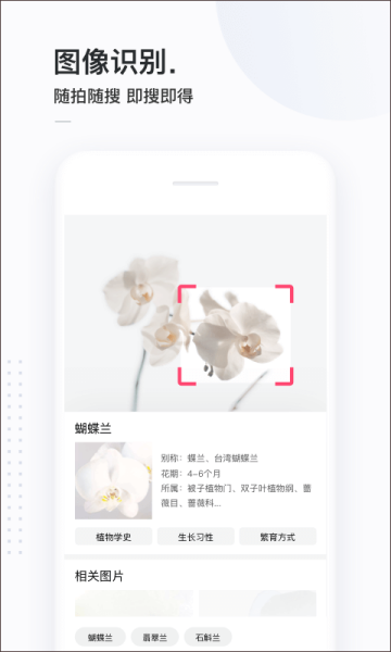 百度简单搜索