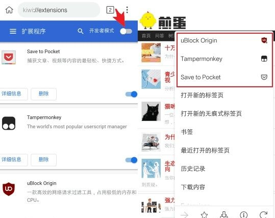 kiwibrowser