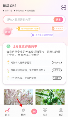 花社区