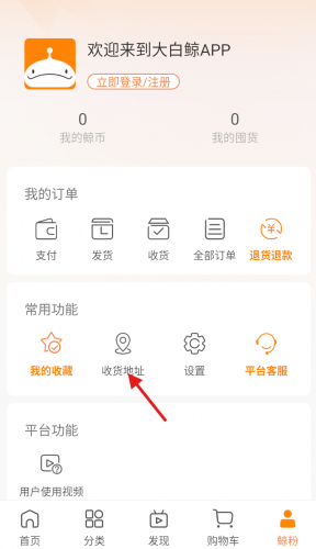 大白鲸