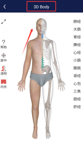 解剖学