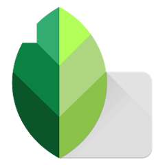 snapseed最新版本2025 2.22.0.633363672手机版